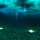 Scientists dive beneath Antarctica’s sea ice and conduct a chamber experiment on the ocean floor. Photo Courtesy Science Under the Ice